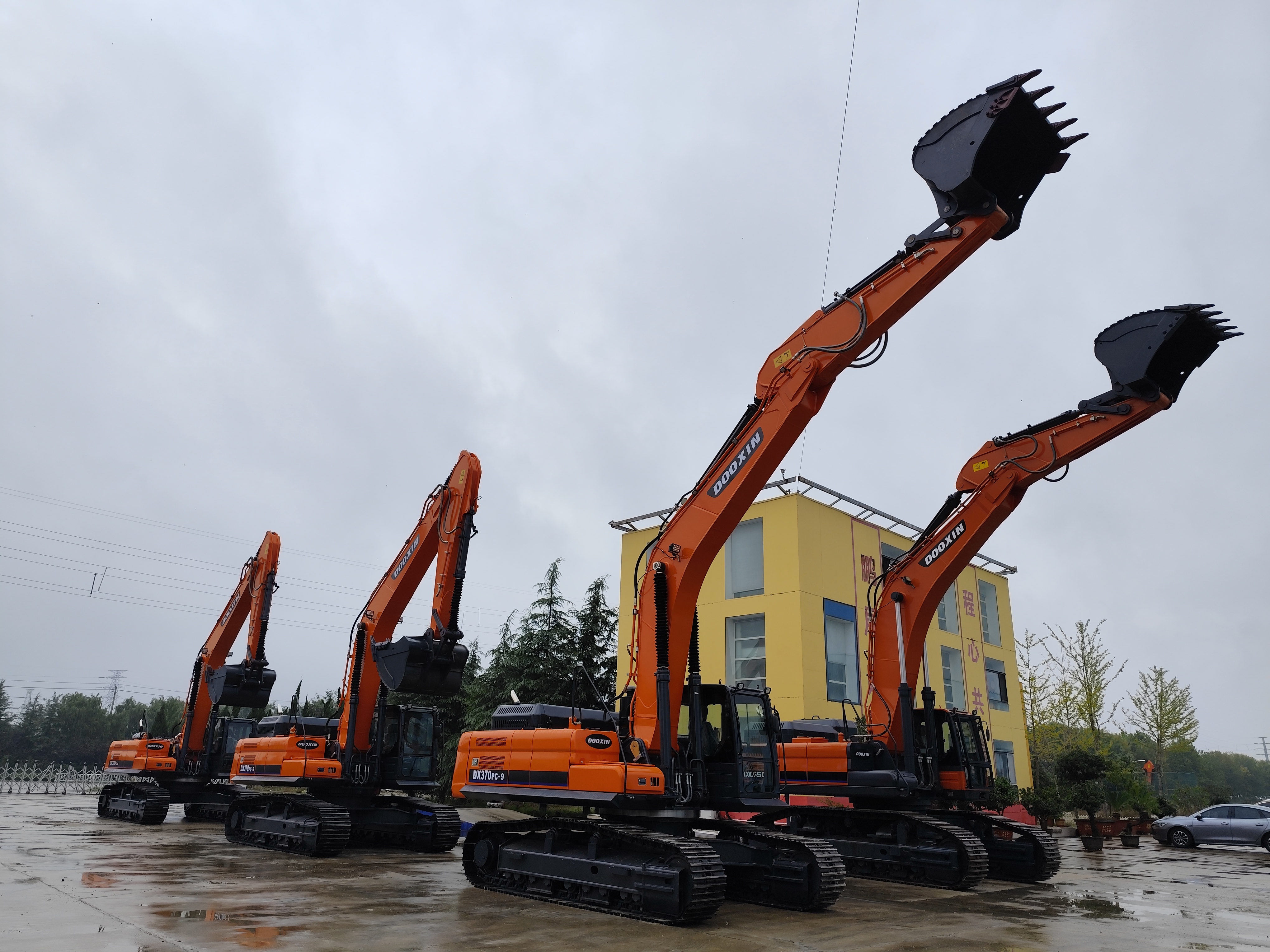 Επισκέπτεται μια αντιπροσωπεία πελατών από τον Ισημερινό.